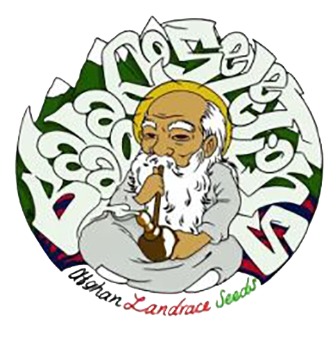 Afghan Landrace Mix Package - 15-pack - Regular - Baaba Qo