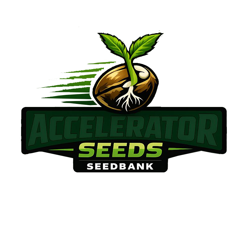 accelerator seeds logo.png