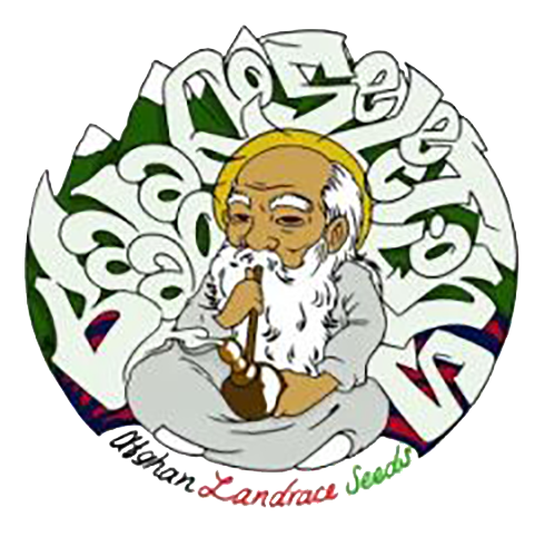 Baaba Qo Seed Bank logo.png