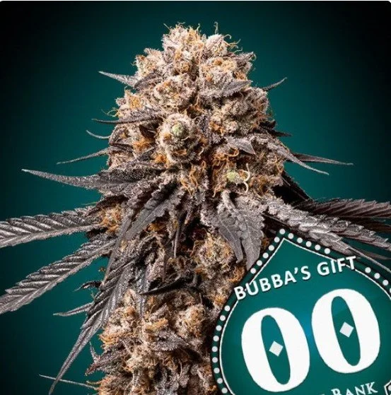 Bubba's Gift Feminized Seeds