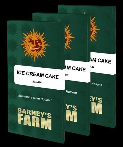 Ice Cream Cake - 5-pack - Feminized - Barney's Farm
