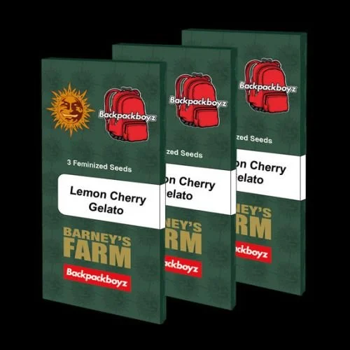 Lemon Cherry Gelato - Feminized - Barney's Farm