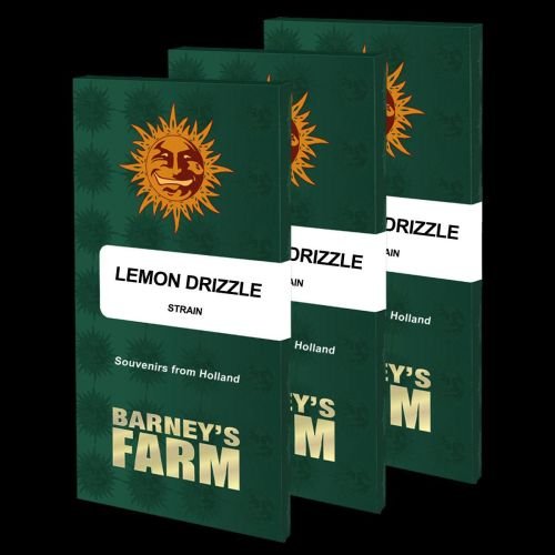 Lemon Drizzle - 5-pack - Feminized - Barney's Farm