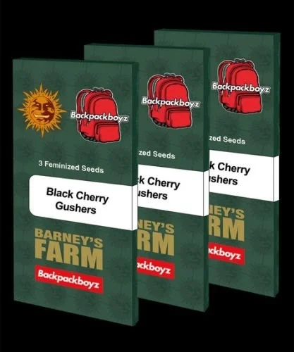 Black Cherry Gushers - Feminized - Barney's Farm