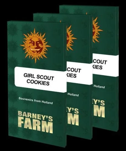 Girl Scout Cookies - 5-pack - Feminized - Barney's Farm