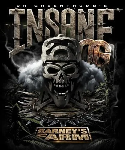 Insane OG - Feminized - Barney's Farm
