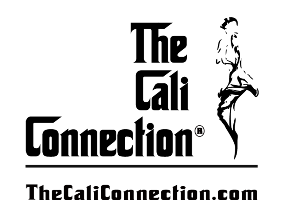 Silhouette of a person working at a desk with books and a computer.