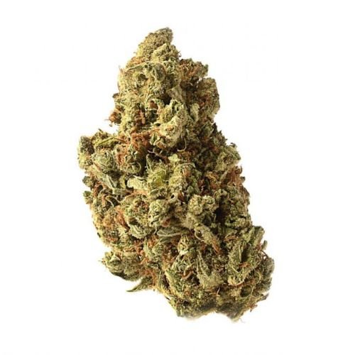 Amazing Haze - Feminized - Amsterdam Genetics
