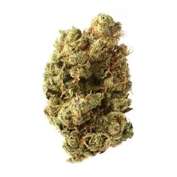 Blue Amnesia Haze - 5-pack - Feminized - Amsterdam Genetics
