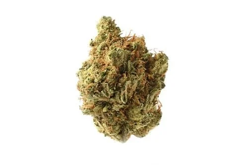 Amnesia Haze - 10-pack - Regular - Amsterdam Genetics

