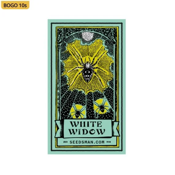 White Widow Regular Seeds