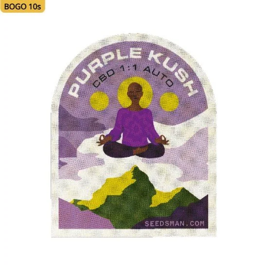 Purple Kush CBD 1:1 Auto Feminized Seeds