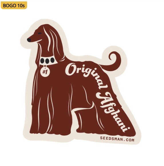 Original Afghani #1 Regular Seeds