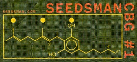 Seedsman CBG #1 Feminized Seeds.jpg