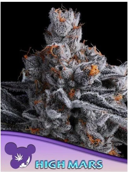High Mars Feminized Seeds
