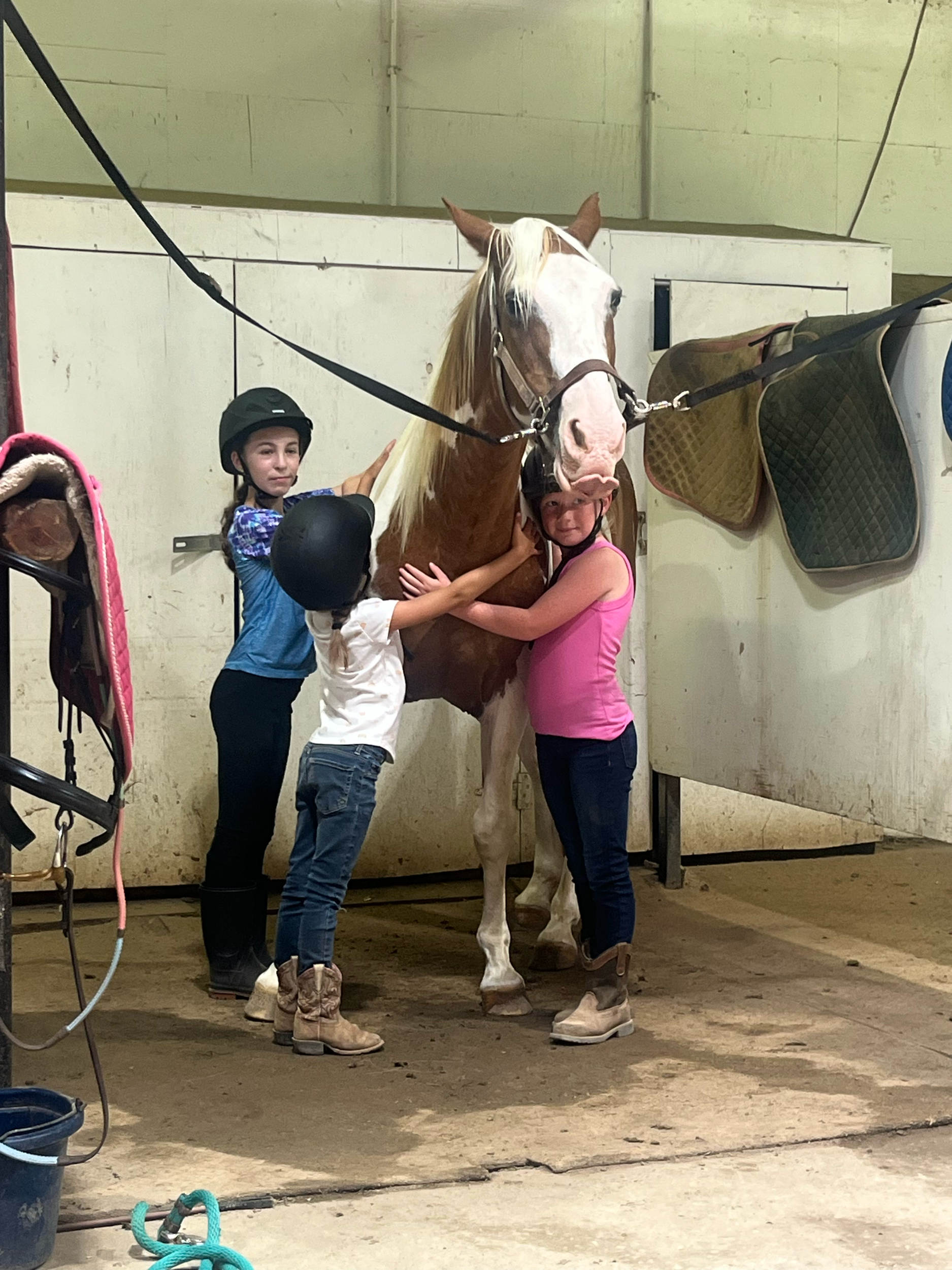 A girl in a pink tank top and jeans hugging a white and brown horse with a girl in a helmet and riding clothes standing beside them in a stable.