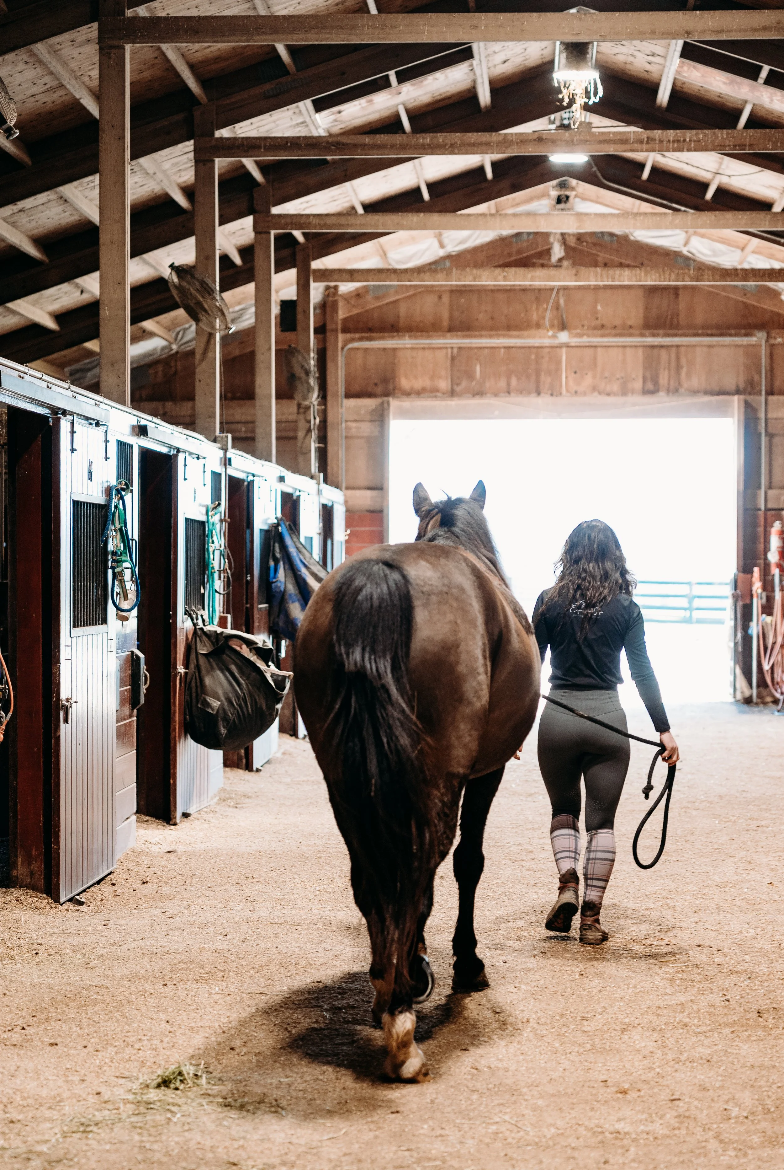 A woman leading a brown horse inside a wooden stable with stalls on the left and a large open door at the end. The woman, dressed in black leggings and a black top, is walking away from the camera holding the horse's lead rope. The stable has a wooden ceiling and walls, with various horse equipment hanging on the stalls.