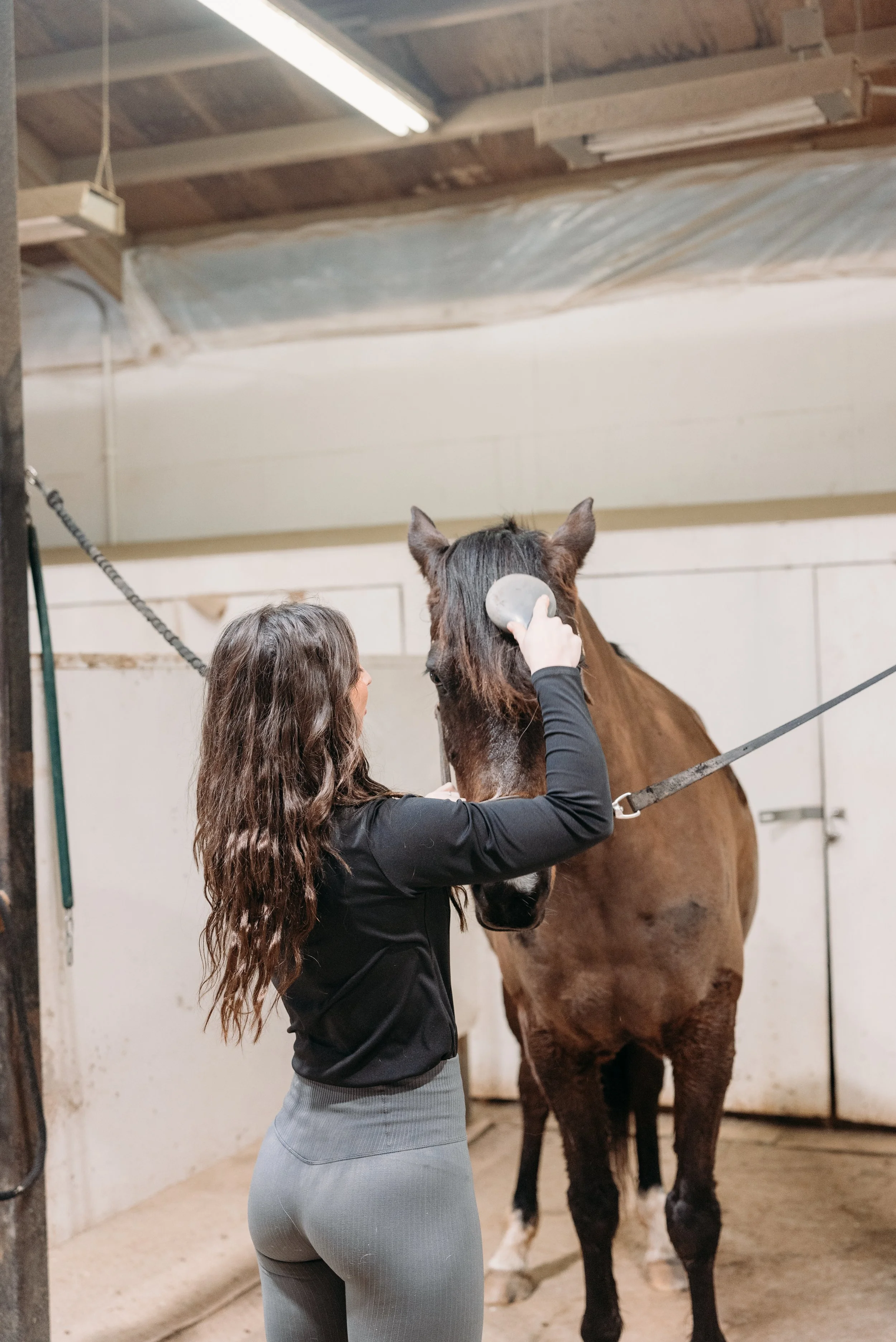 A woman brushing a brown horse in a stable.