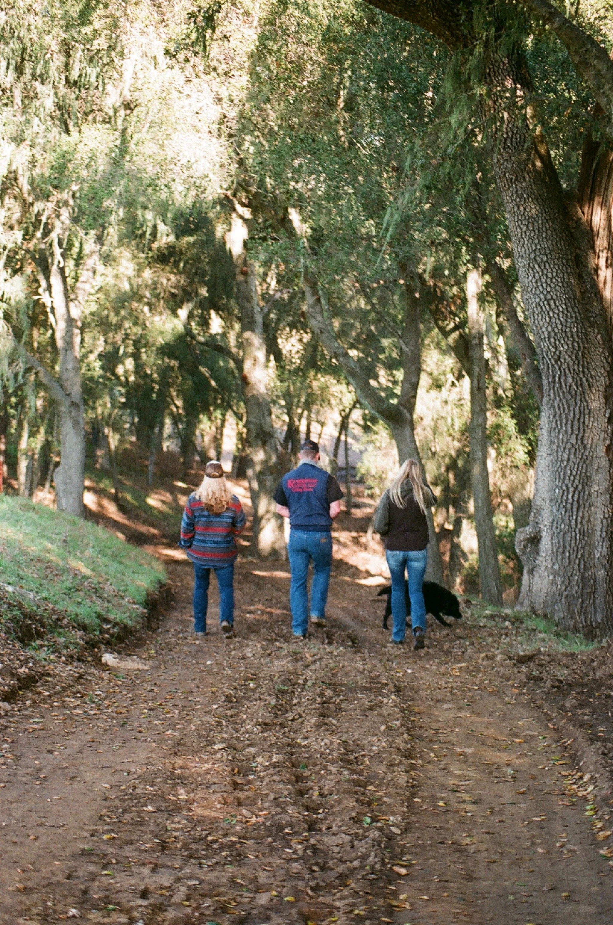 Three people walking on a dirt trail in a wooded area with green trees and sunlight filtering through the leaves. One person is walking a black dog.