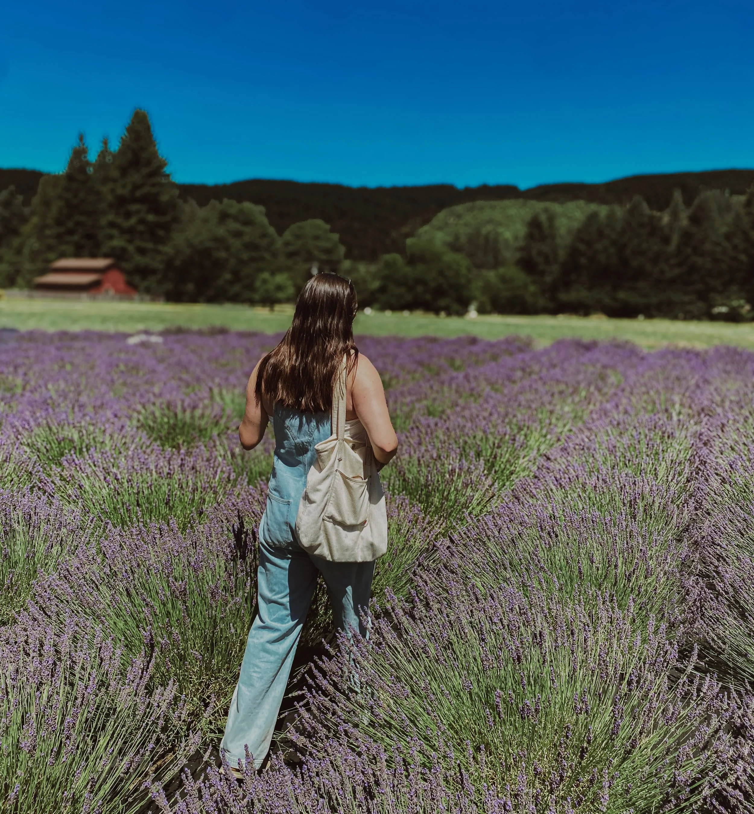 ✨Mini Photography Bundle (5 Photos)✨