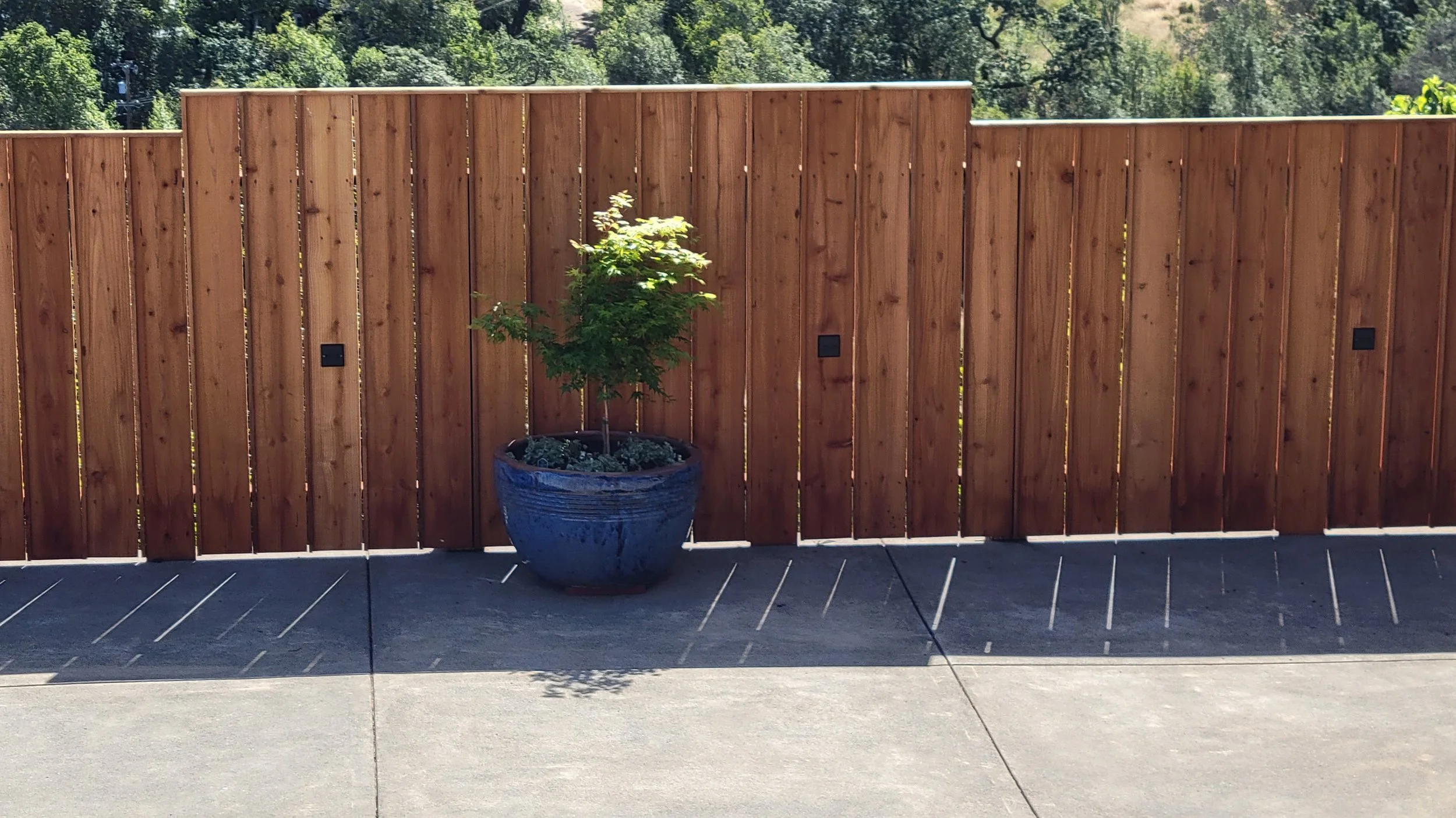 A wooden privacy fence with three black outdoor electrical outlets, a large blue ceramic pot with a small green tree, and a concrete patio in front of the fence with sunlight and shadows.