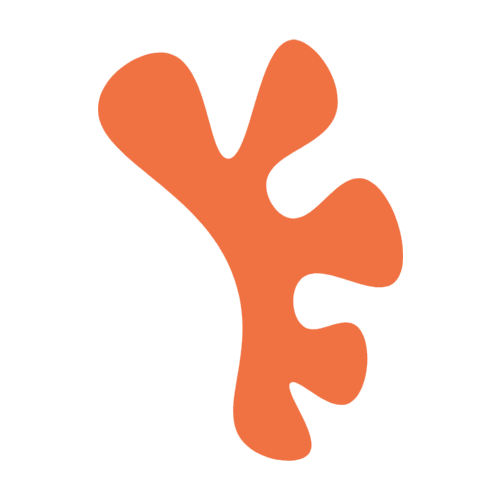 A stylized orange leaf on a black background.