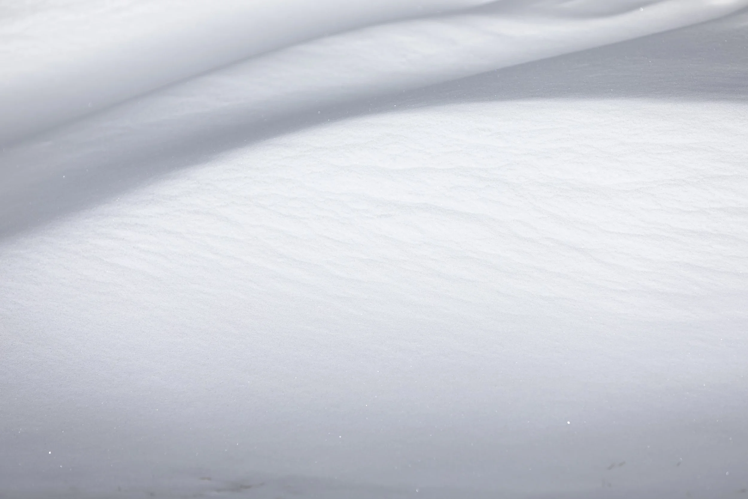 Gentle light on contoured snow