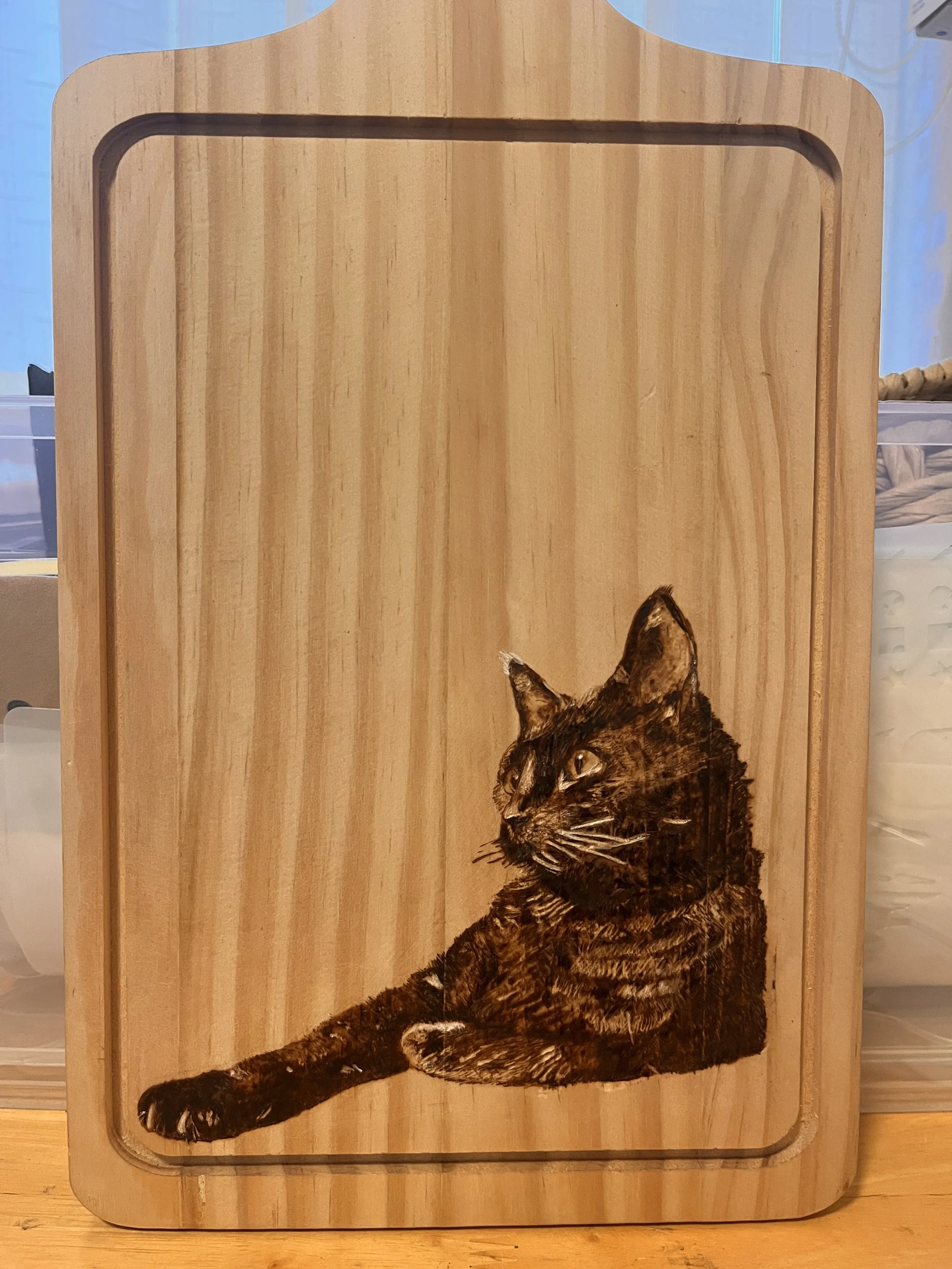 Lucy the Cat