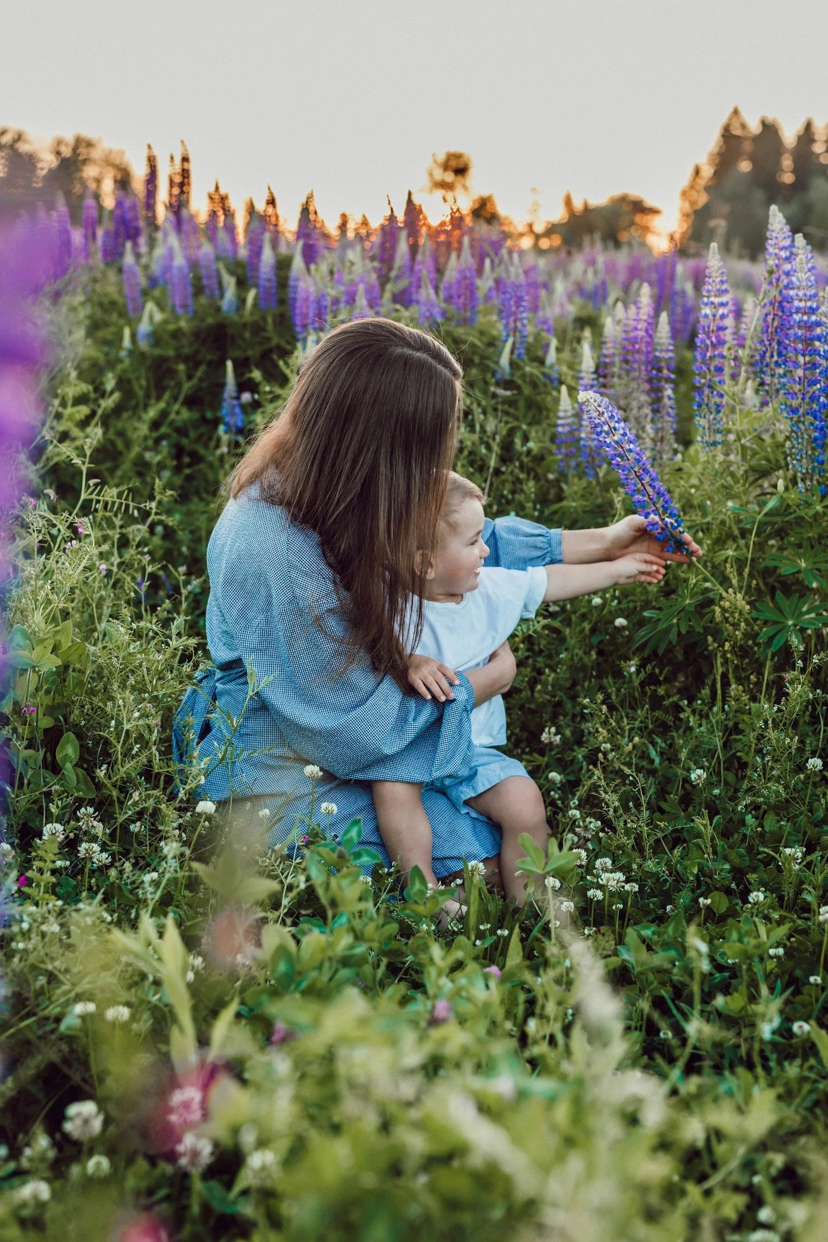 A woman and a young girl sitting in a field of purple flowers at sunset, with the woman helping the girl touch one of the flowers.