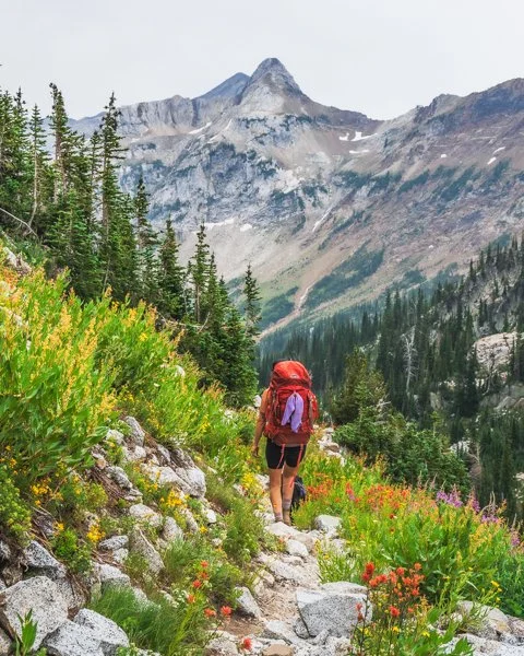 Person hiking on a rocky trail through a lush green mountain landscape with colorful wildflowers, surrounded by pine trees and distant snow-capped mountains.