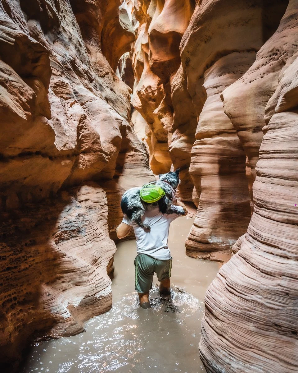 A person carrying a dog through a narrow rocky canyon with water on the ground.