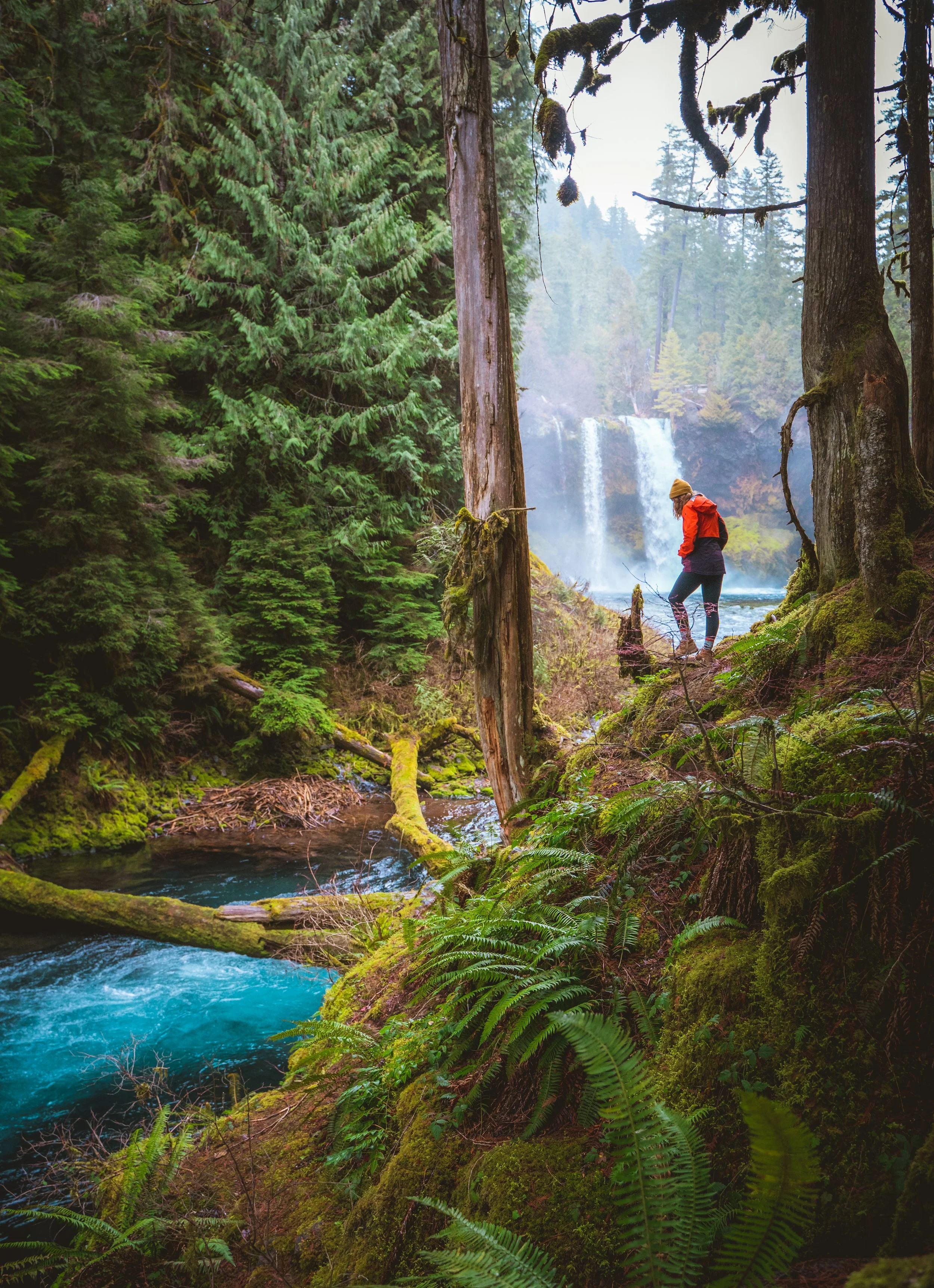 A person wearing an orange jacket and a tan hat walking on a mossy forest trail near a waterfall in a lush, green wilderness.