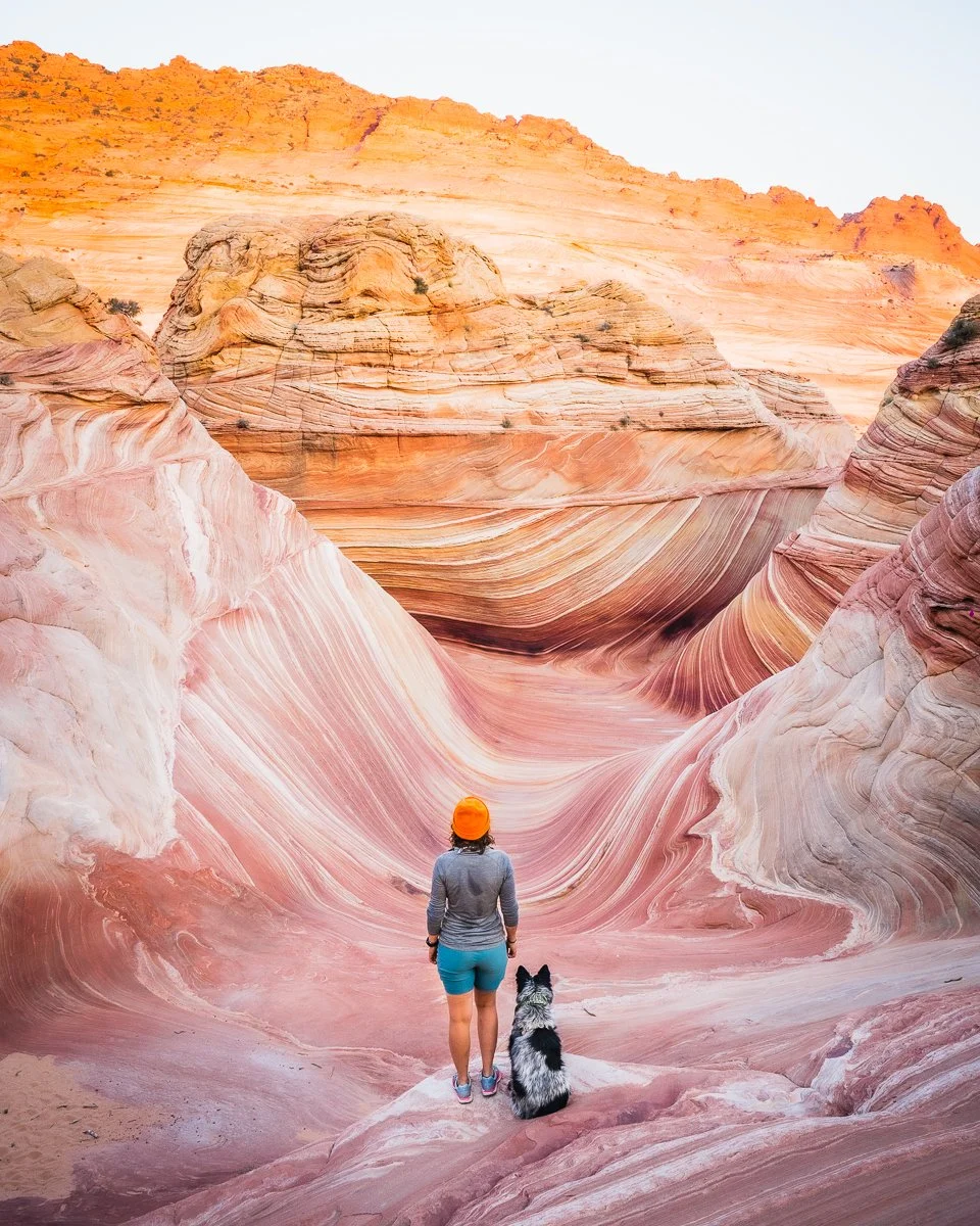 A person and a dog standing in a colorful, layered canyon with swirling patterns and shades of pink, orange, and white.