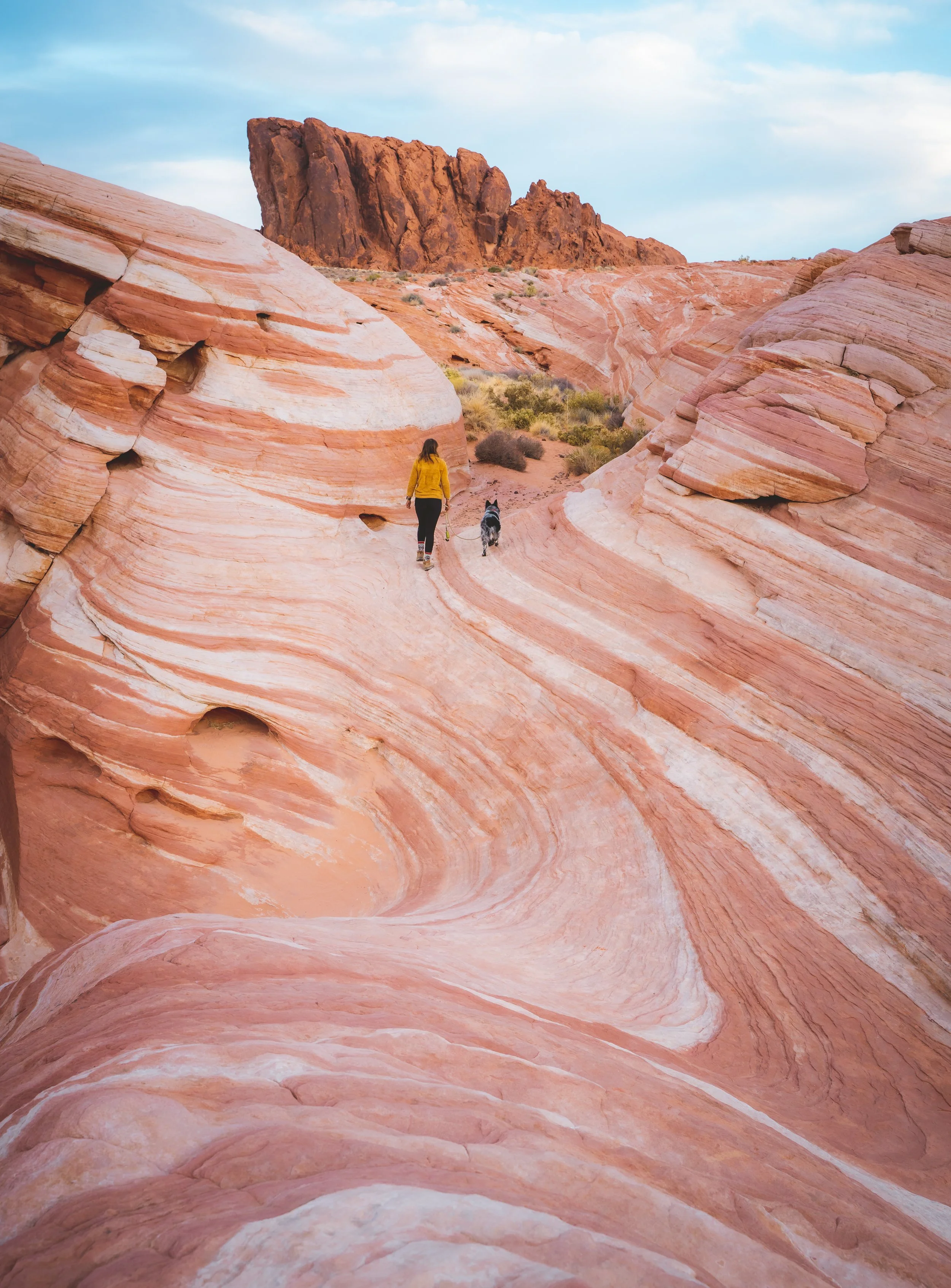 A person walking on a winding trail through a desert landscape with colorful, layered sandstone formations and a dog, under a partly cloudy sky.