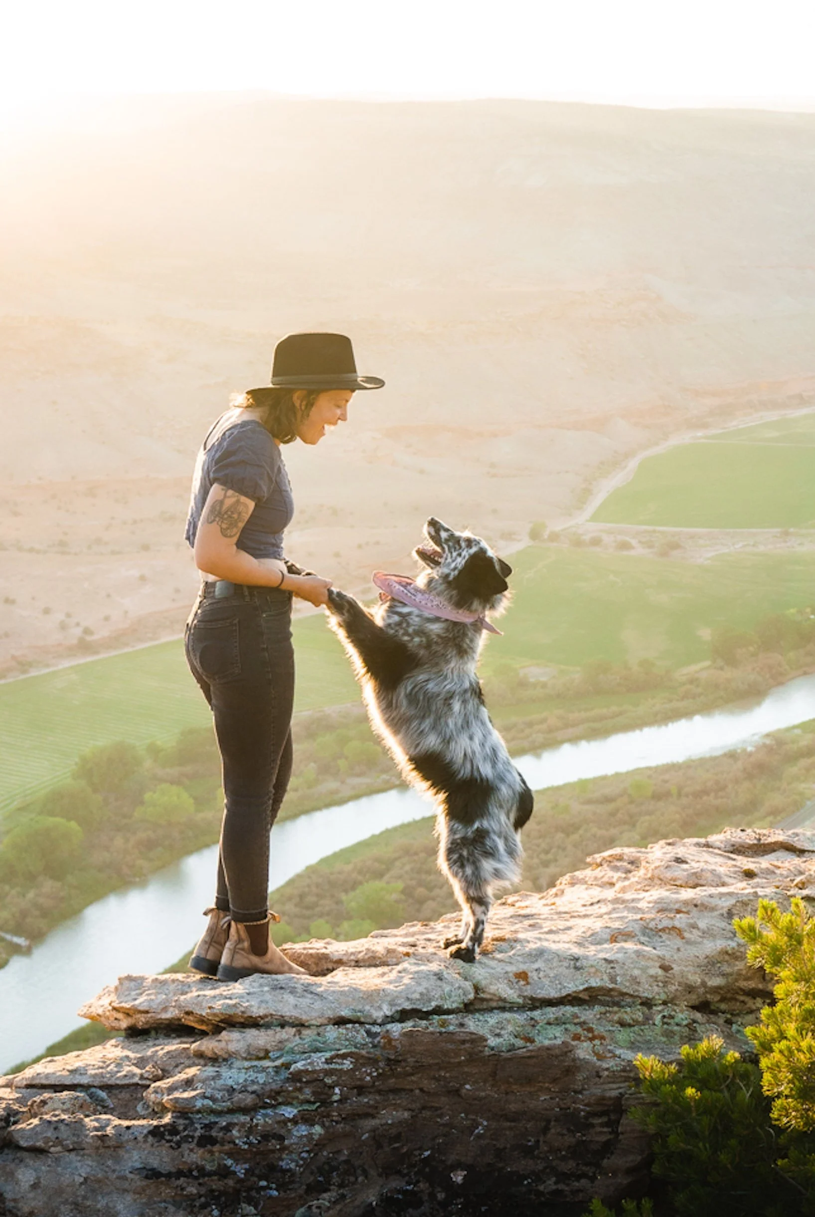 A woman in a black hat and dark clothes is standing on a rocky ledge, holding hands with a black and white Australian Shepherd dog that is standing on its hind legs, with a river, green fields, and hills in the background at sunset.