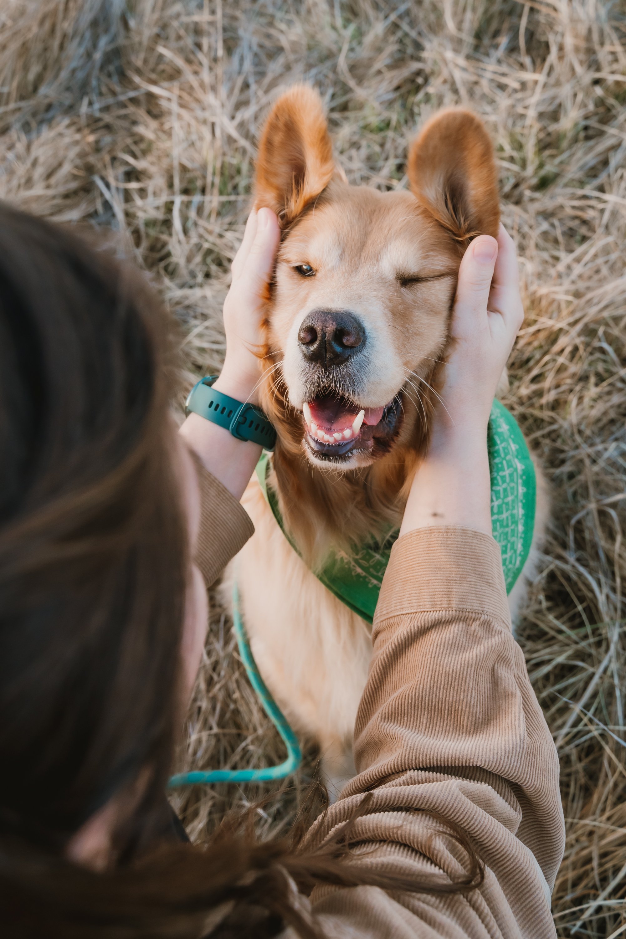Person holding a golden retriever puppy's face, puppy winking and smiling, outside on a grassy field.