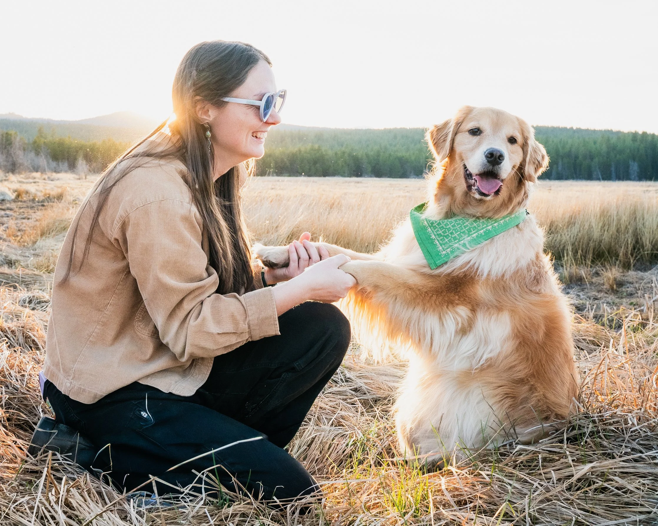A woman with long brown hair wearing sunglasses and a tan jacket holding paws with a golden retriever wearing a green bandana in a field at sunset.