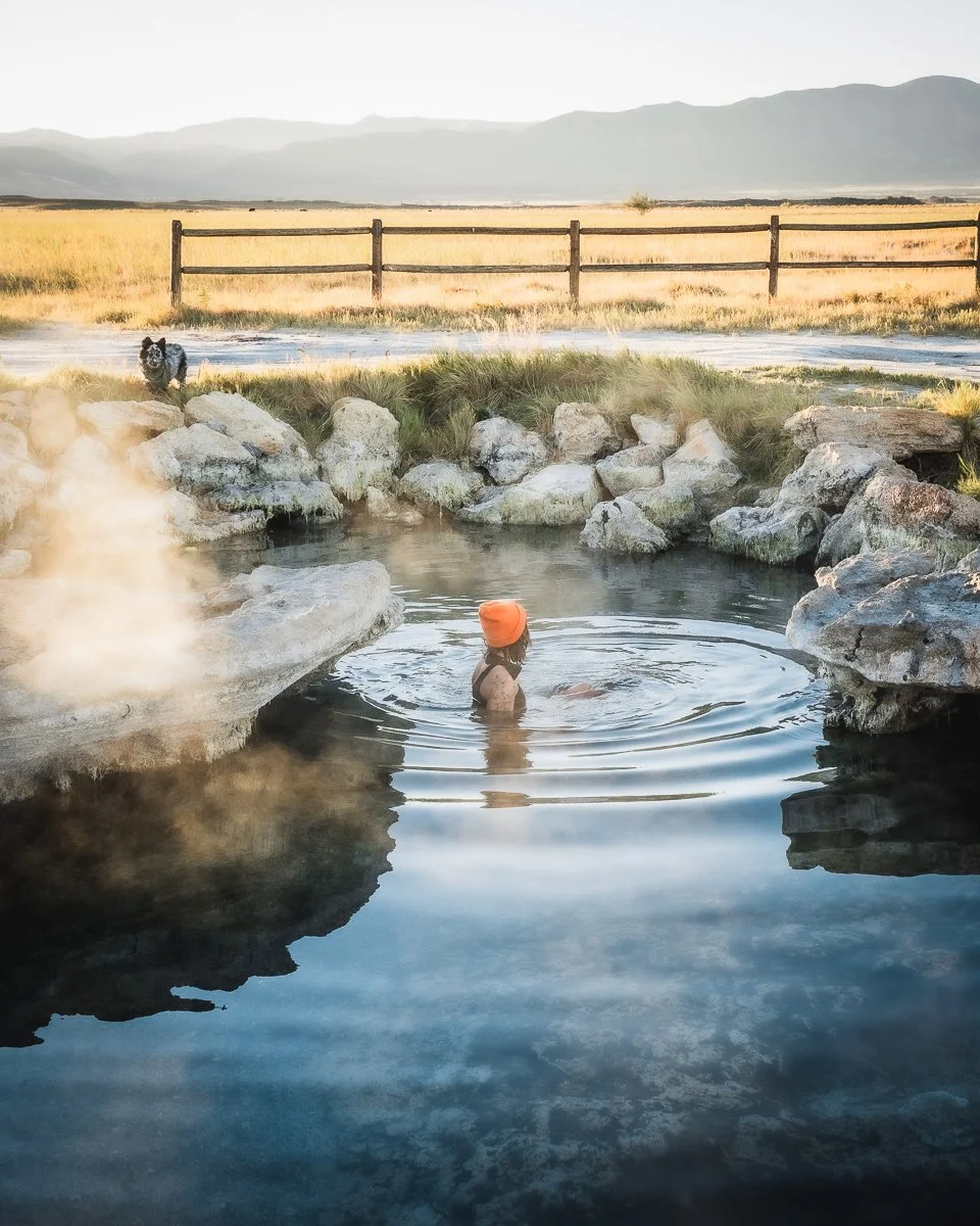 A woman with an orange hat swimming in a hot spring surrounded by rocks, with a dog standing on the rocks looking toward the water, and a fenced field with hills in the background.