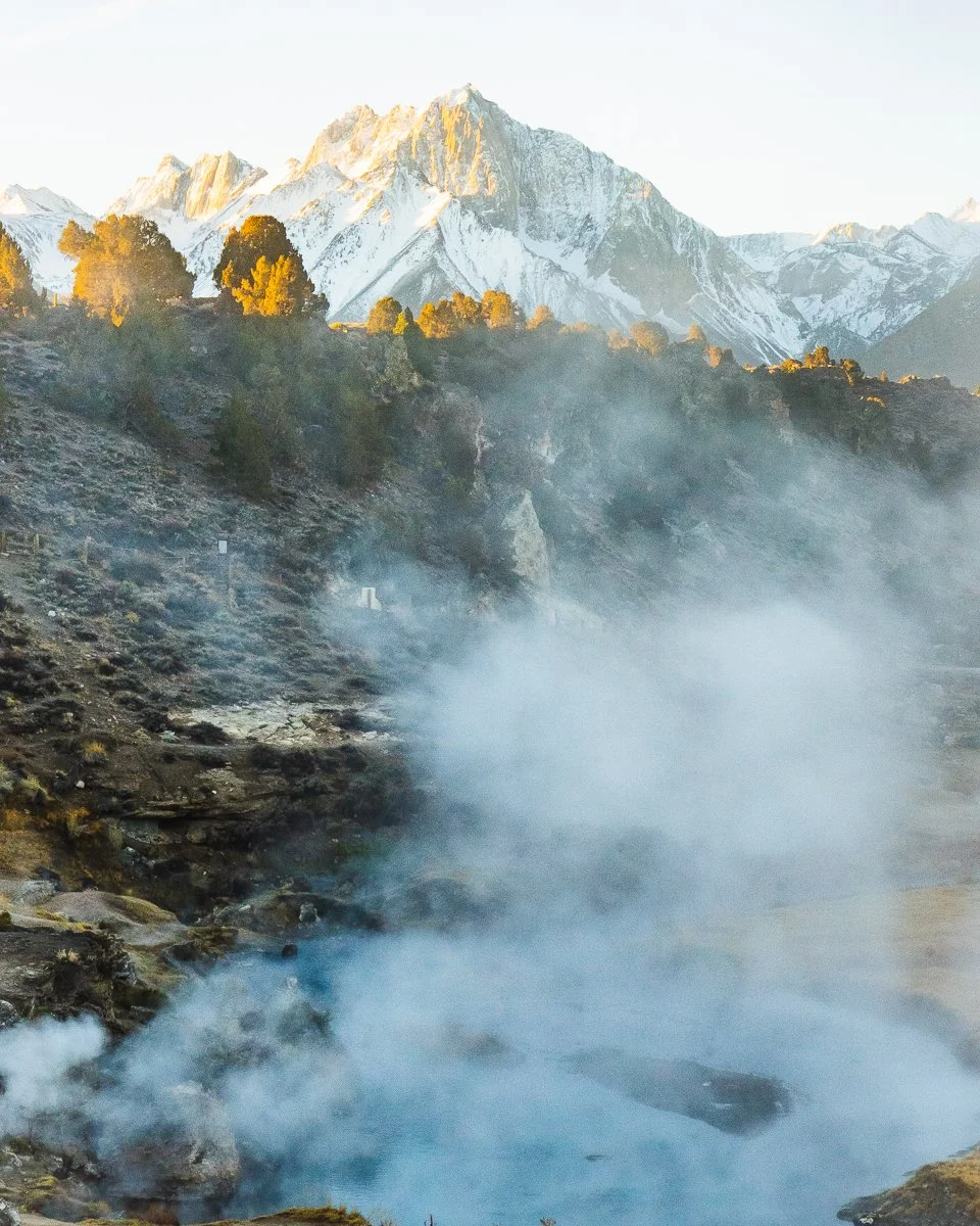Snow-capped mountains behind a forested hillside with steam rising from hot springs in the foreground.