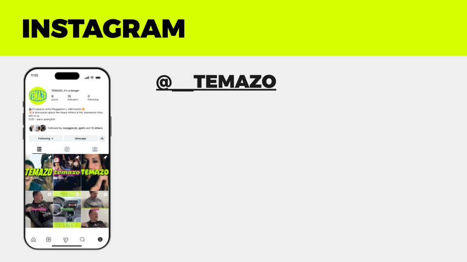 TEMAZO by Andrea Jaime (17).png