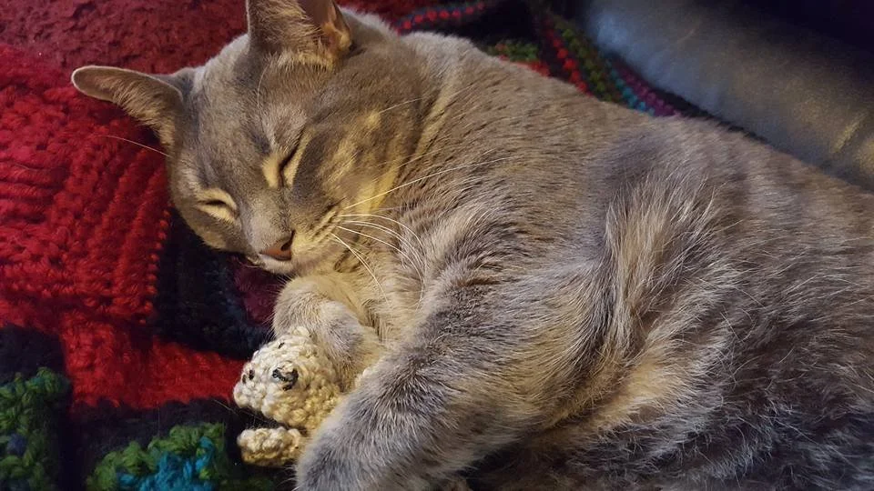 Guided Power Nap