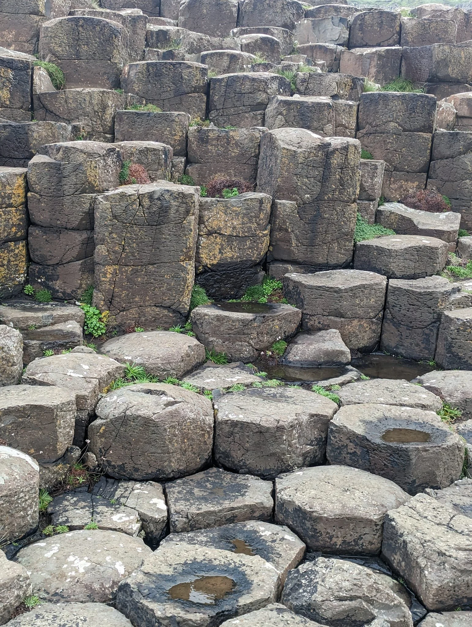Large formation of dark gray basalt rocks with small patches of green grass and moss growing between the rocks.