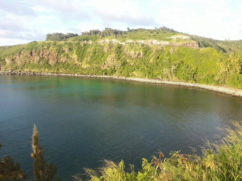 A scenic view of a body of water surrounded by green hills and trees.