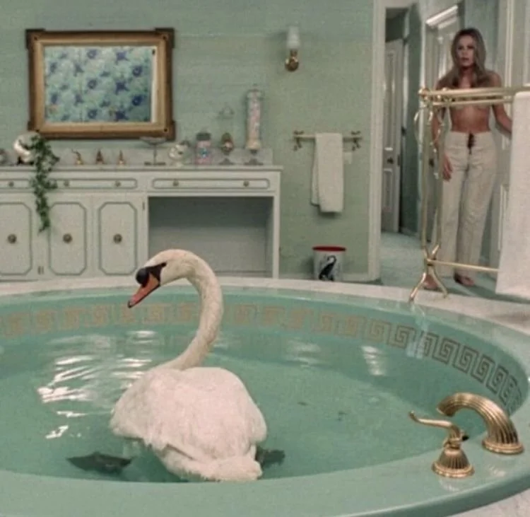 LA VOLPE DALLA CODA DI VELUTO (1971)