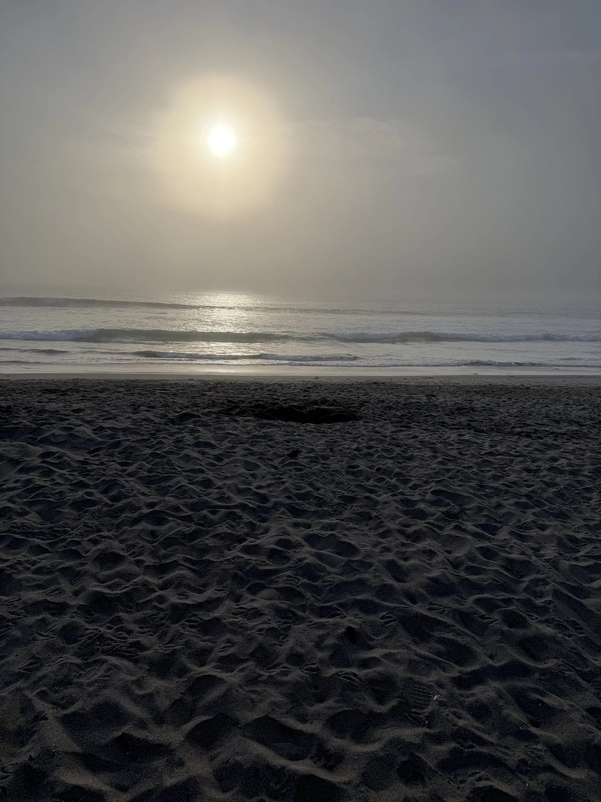 IMG_5289.jpeg
