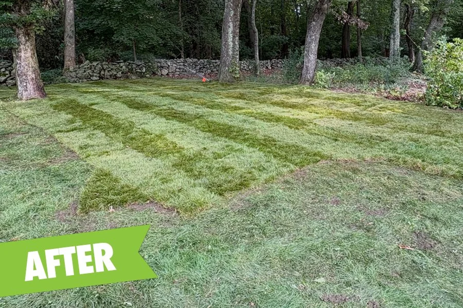 Cleared land, graded and sodded, and extended irrigation zone to cover new area.