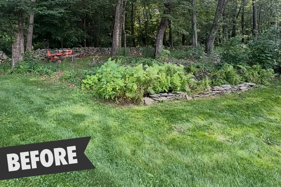 Client requested removal of over growth and weeds to expand backyard lawn space.