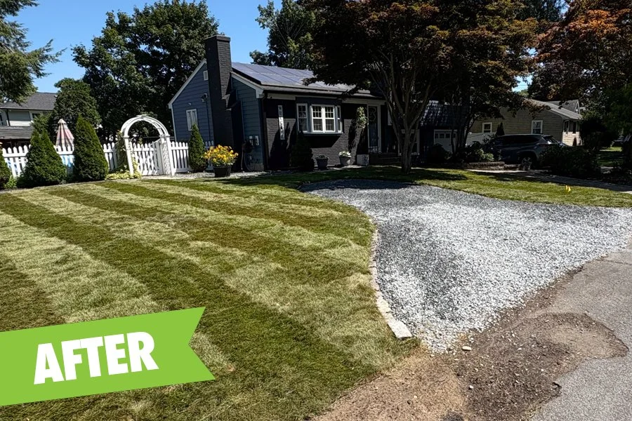 Removed hedges, graded and sodded new lawn and spread new bluestone driveway.
