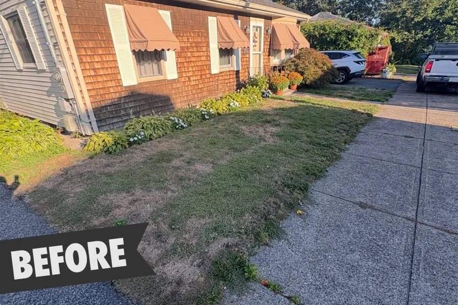 Property in need of lawn renovation during summer heat.