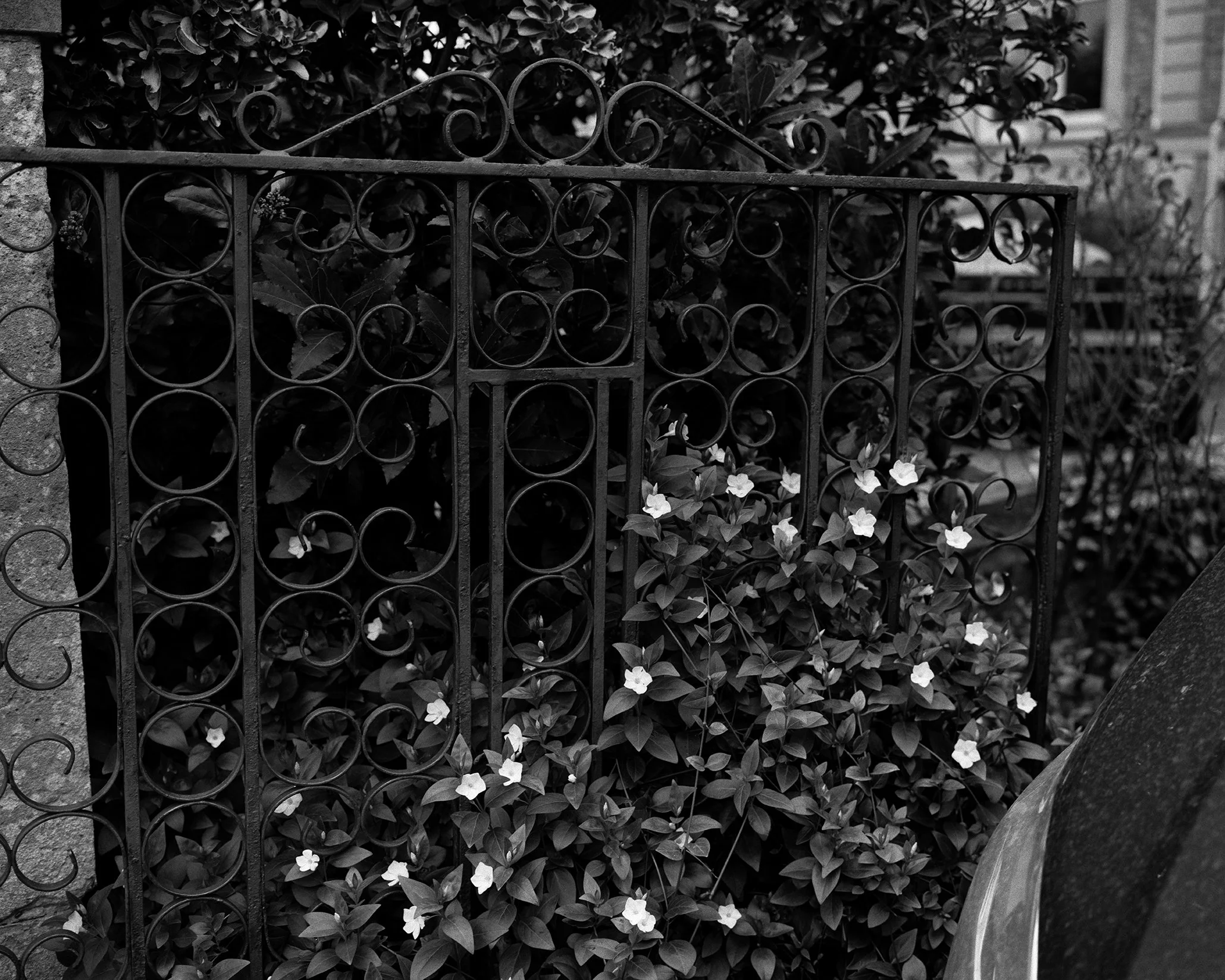 low res 10Untitled copy 3.jpg